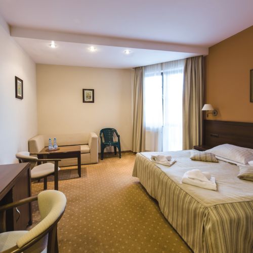 Pokój 3-osobowy Standard Plus z widokiem na las