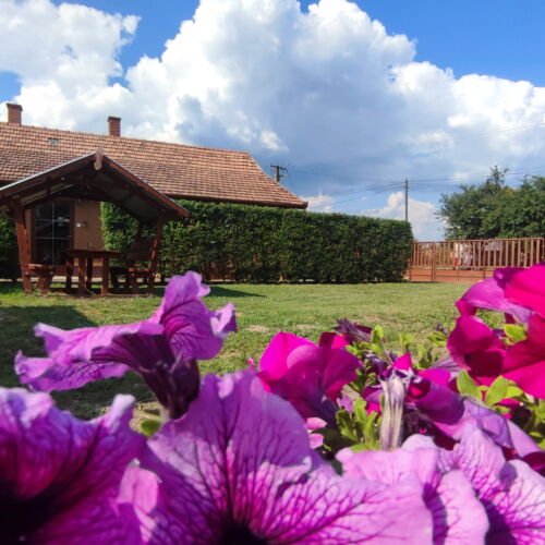 Apartament întreaga unitate la parter pentru 6 pers. (se inchirieaza doar integral)