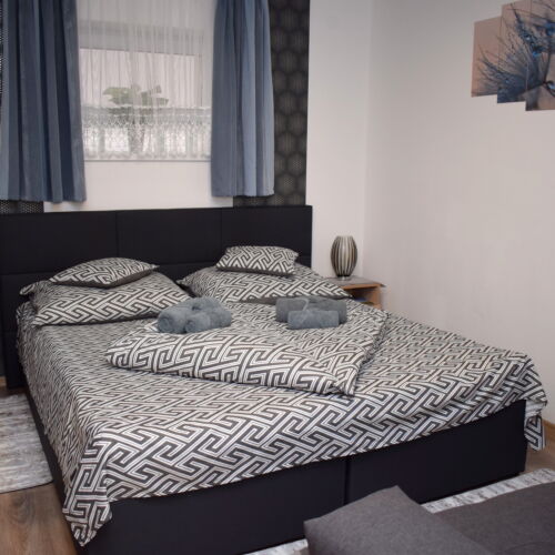 Apartament premium la parter cu 1 camera pentru 3 pers.