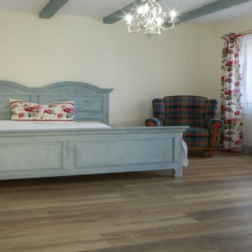 Apartament 2-osobowy na parterze Superior z 1 pomieszczeniem sypialnianym (możliwa dostawka)