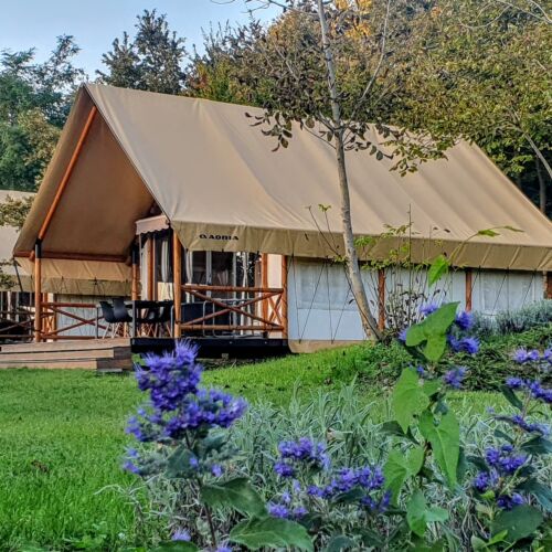 Forest View Panoramic Villa for 6 Persons