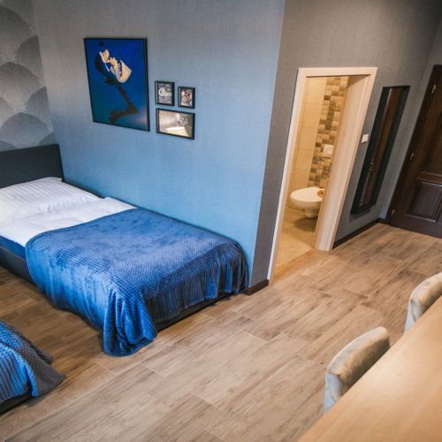 Camera twin deluxe cu aer condiționat