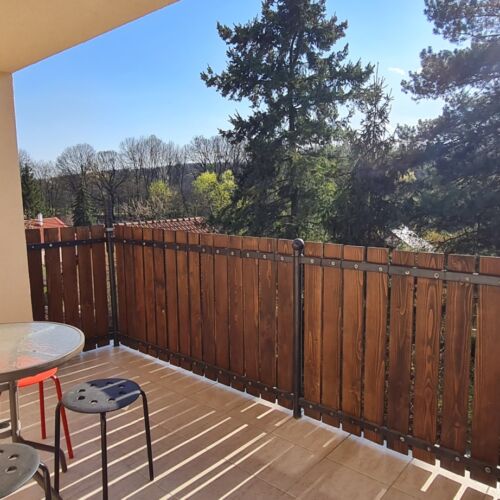 Apartament 4-osobowy z klimatyzacją z panoramą z 2 pomieszczeniami sypialnianymi (możliwa dostawka)