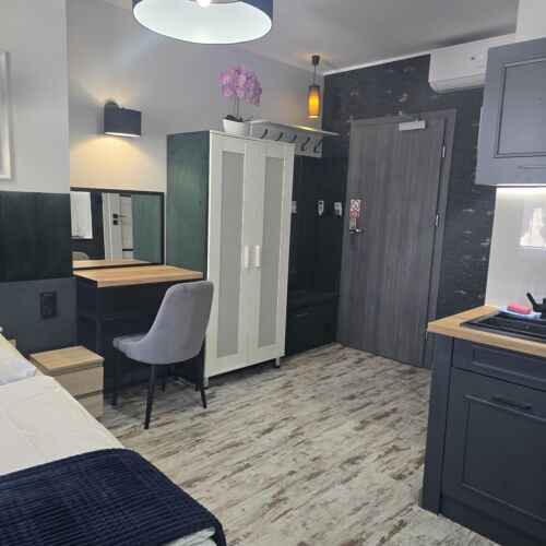 Apartament 2-osobowy z klimatyzacją z aneksem kuchennym z 1 pomieszczeniem sypialnianym