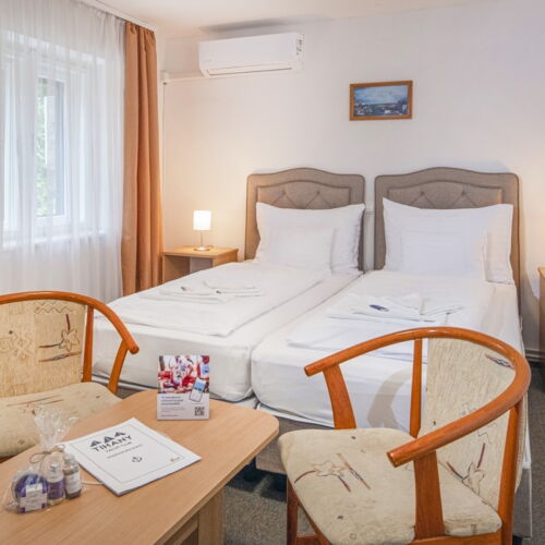 Camera twin classic cu vedere spre parc