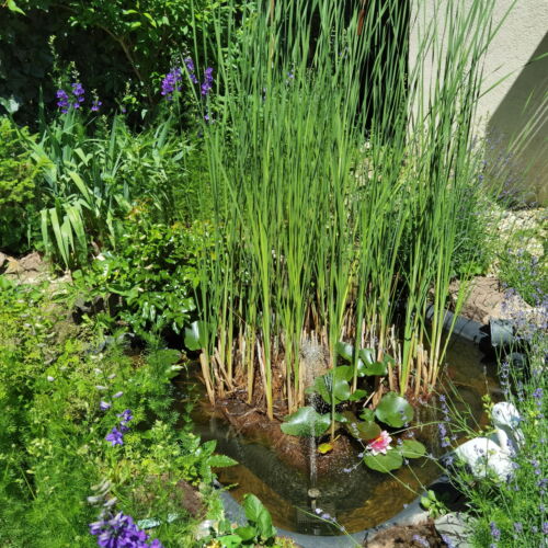 Apartament 2-osobowy na parterze z 1 pomieszczeniem sypialnianym (możliwa dostawka)