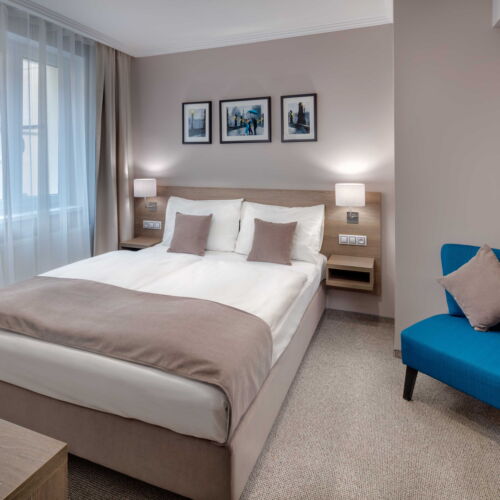 Camera single standard cu vedere spre curte