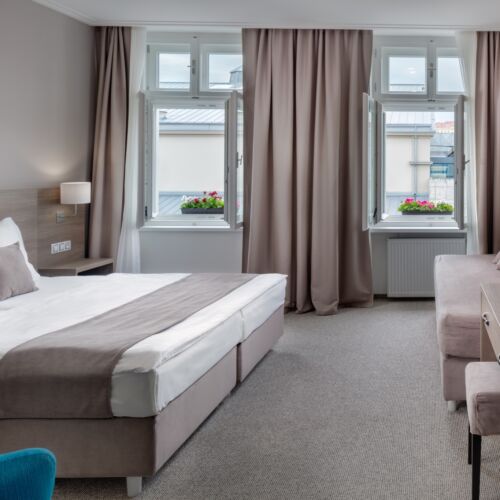 Camera tripla standard cu vedere spre oraș