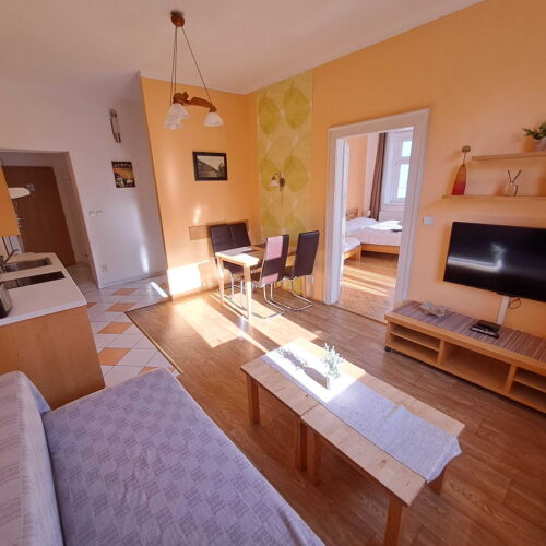 Apartman se sprchou s vlastní kuchyňkou pro 4 os. (s možností přistýlky)