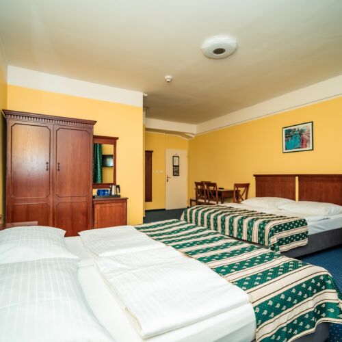 Pokoj tV s plochou obrazovkou se sprchou pro 4 os.