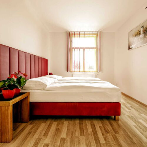 Apartman se sprchou s vlastní kuchyňkou pro 2 os. s 1 ložnicí