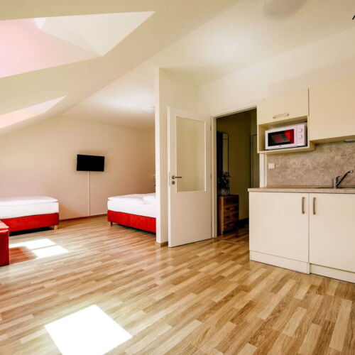 Apartman se sprchou s vlastní kuchyňkou pro 4 os. s 1 ložnicí