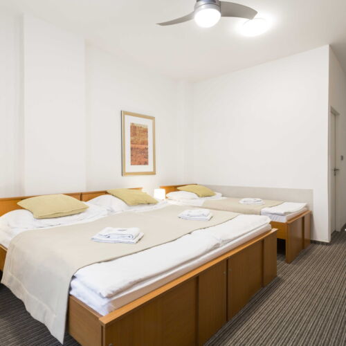 Triple Room with Shower