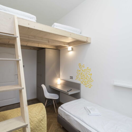 Economy Twin Room (extra bed available)