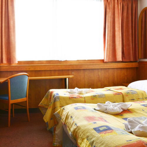 Air Conditioned Triple Room with Shower