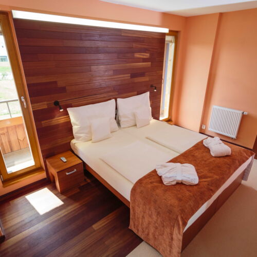 Deluxe 1-Room Apartment for 2 Persons with Shower