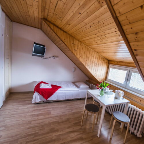 Camera tripla la mansardă cu duș