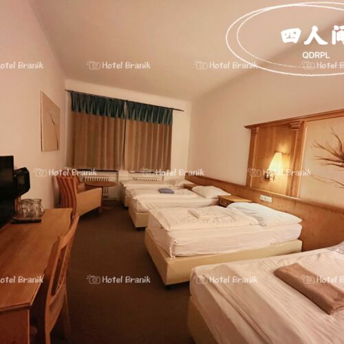 Pokoj se sprchou  pro 4 os.