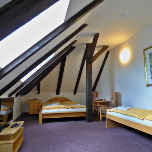 Quadruple Room with Shower