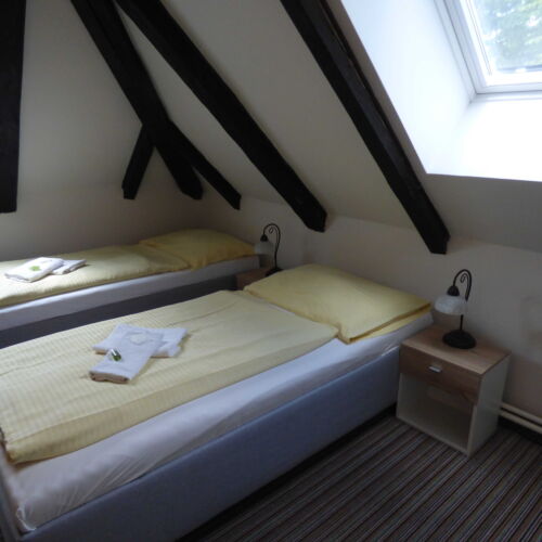 Twin Room with Shower