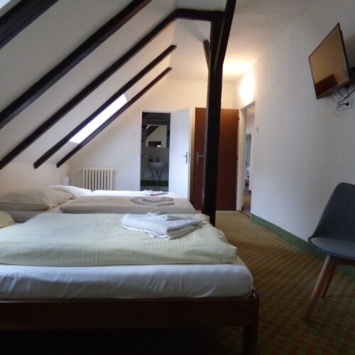Triple Room with Shower