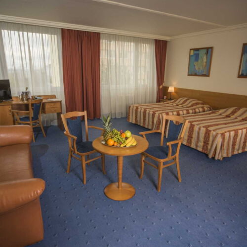 Executive Zweibettzimmer