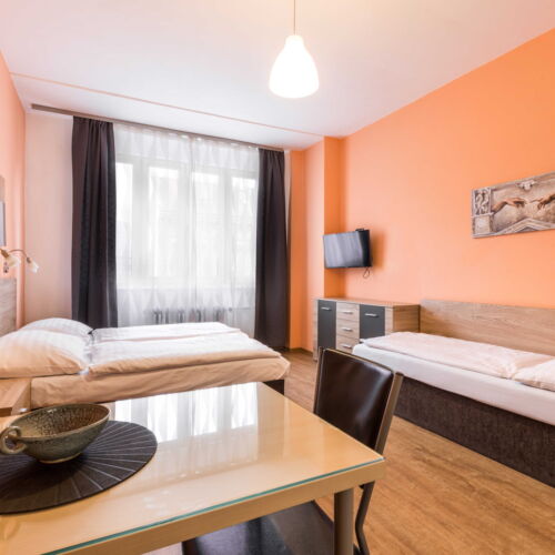 Studio Apartman se sprchou pro 2 os. (s možností přistýlky)