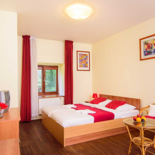 Double Room with Shower