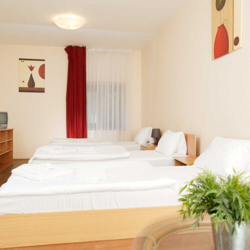 Family 8 Person Room with Shower