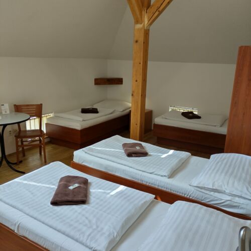 Camera cvadrupla cu baie