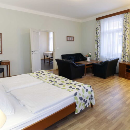 Superior 1-Room Apartment for 2 Persons