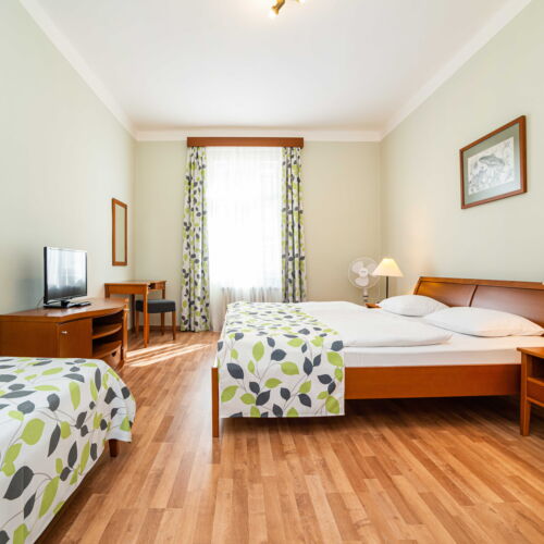 1-Room Family Apartment for 3 Persons with Own Kitchen