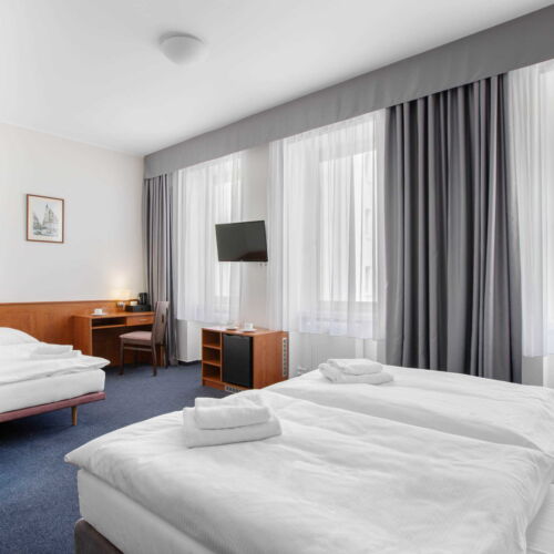 Air Conditioned Triple Room