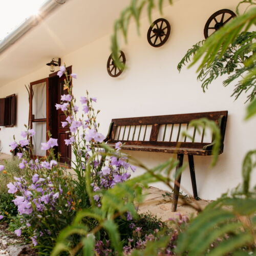 Casa rustică familial(ă) cu vedere spre grădină pentru 4 pers. (se inchirieaza doar integral) (se poate solicita pat suplimentar)