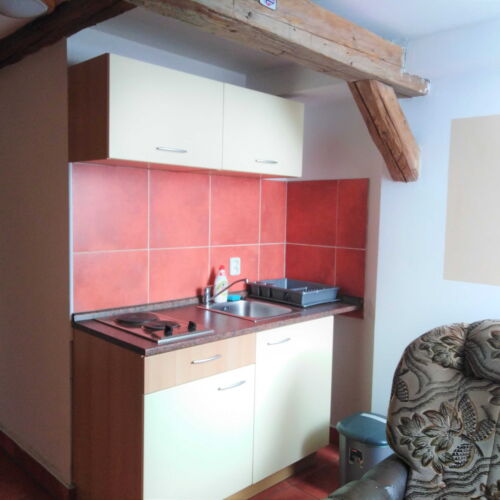 Pokoj se sprchou s vlastní kuchyňkou pro 3 os.