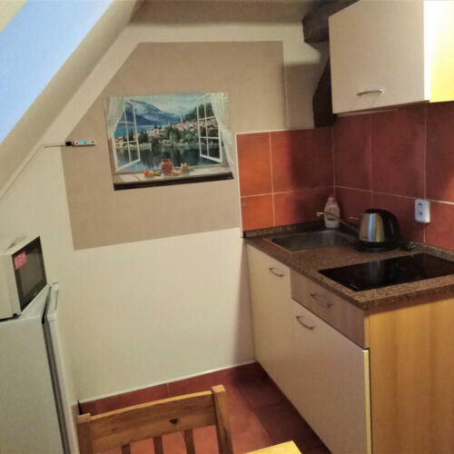 Pokoj se sprchou s vlastní kuchyňkou pro 3 os. (s možností přistýlky)