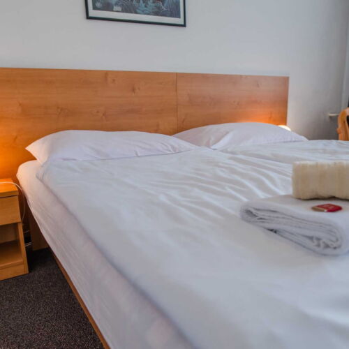 Standard Pokoj s balkonem a výhledem na přehradu s manželskou postelí (s možností přistýlky)