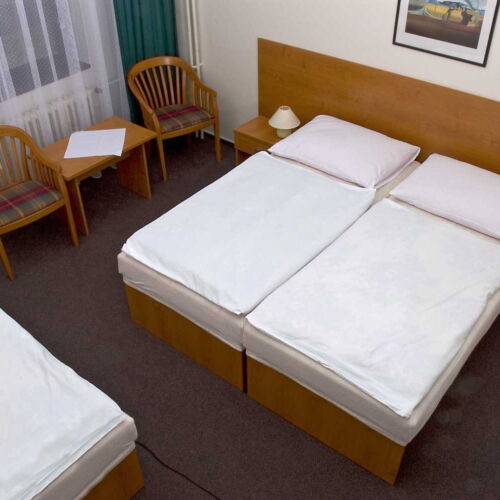 Standard Pokoj pro 3 os. s panoramou