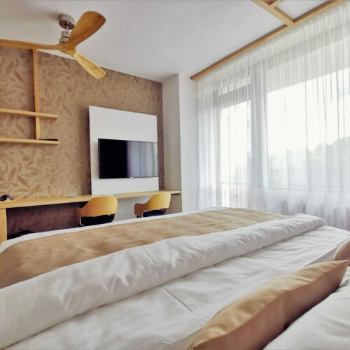 Superior Pokoj s balkonem a výhledem na přehradu s manželskou postelí (s možností přistýlky)