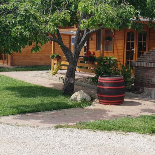 1-Room Apartment for 4 Persons
