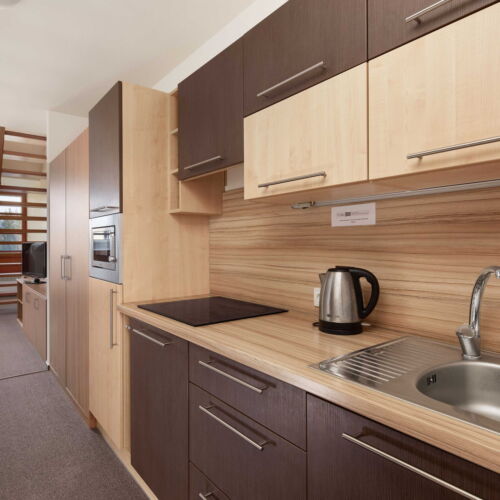 Apartman se sprchou s vlastní kuchyňkou pro 6 os. se 3 ložnicemi (s možností přistýlky)