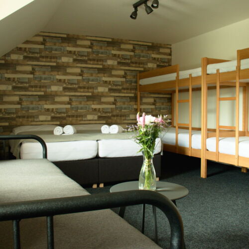 Pokoj se sprchou  pro 6 os. (s možností přistýlky)