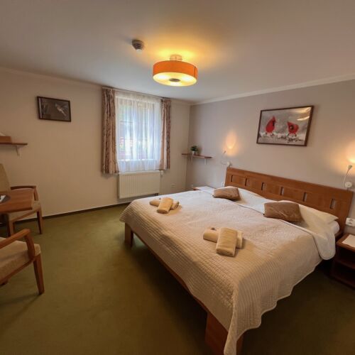 Pokoj se sprchou  s manželskou postelí