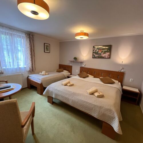 Pokoj se sprchou  pro 4 os.