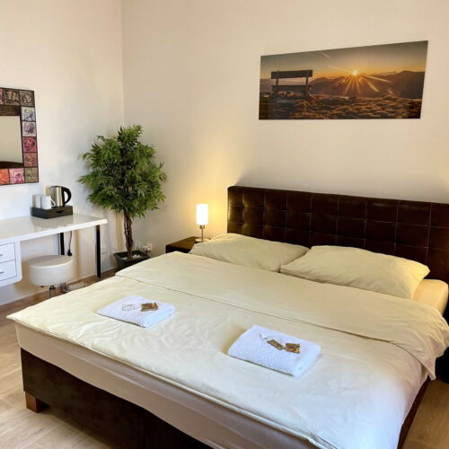 Standard Plus  Pokoj s manželskou postelí