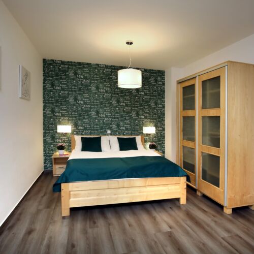 Standard 1-Room Apartment for 2 Persons with Shower (extra bed available)