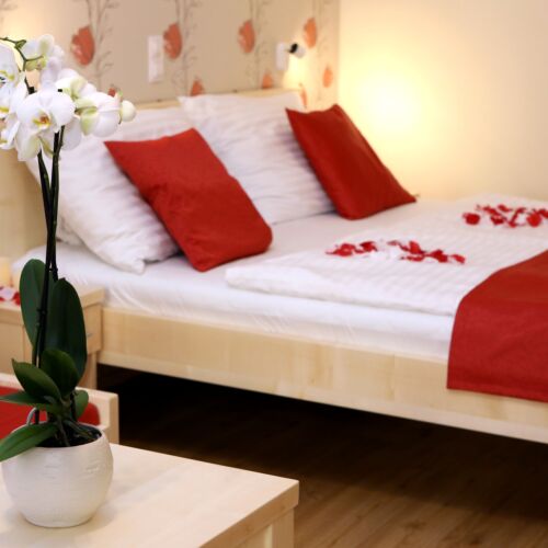Studio Superior 1-Room Apartment for 2 Persons (extra bed available)