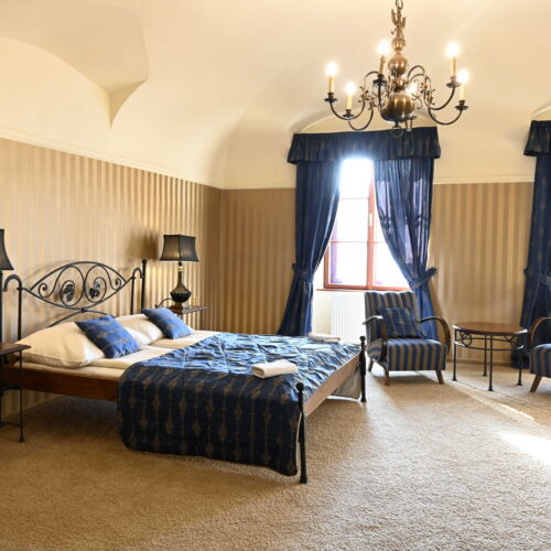 Pokój 2-osobowy Business z prysznicem (możliwa dostawka)