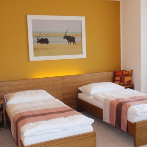 Double Room with Shower (extra bed available)