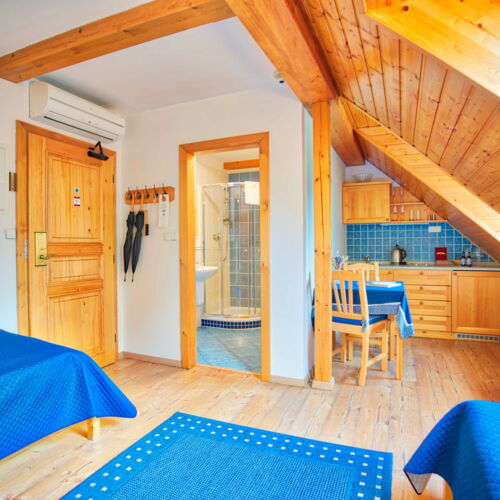 Standard Mansard Twin Room